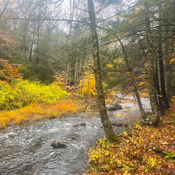 Upper Bantam RIver Preserve