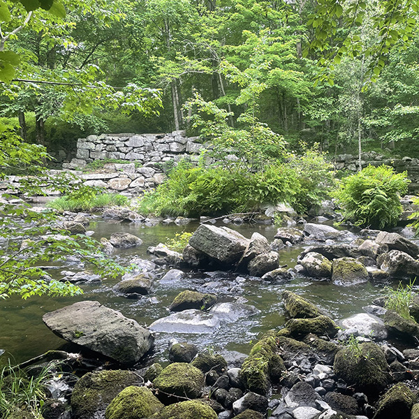 Shepaug Crossing Preserve